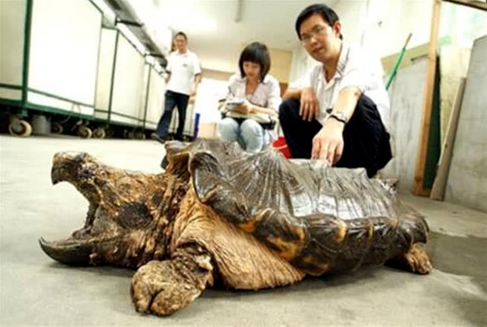 地方新闻 第52页