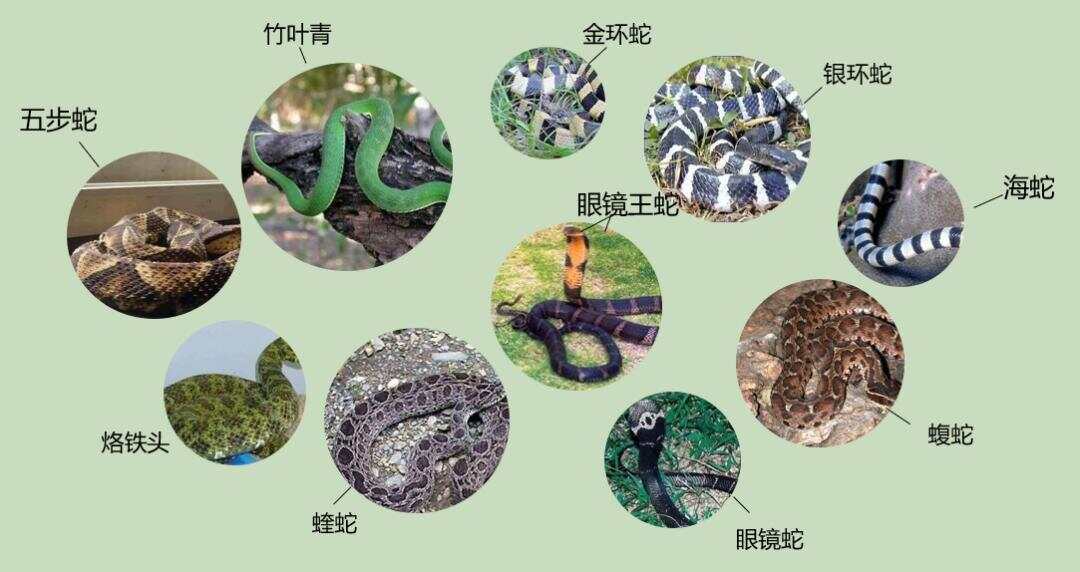 热点生活 第35页